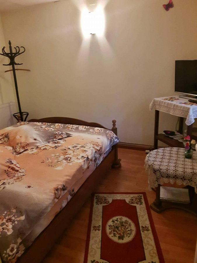 Harmonia Studio Lejlighed Braşov Eksteriør billede